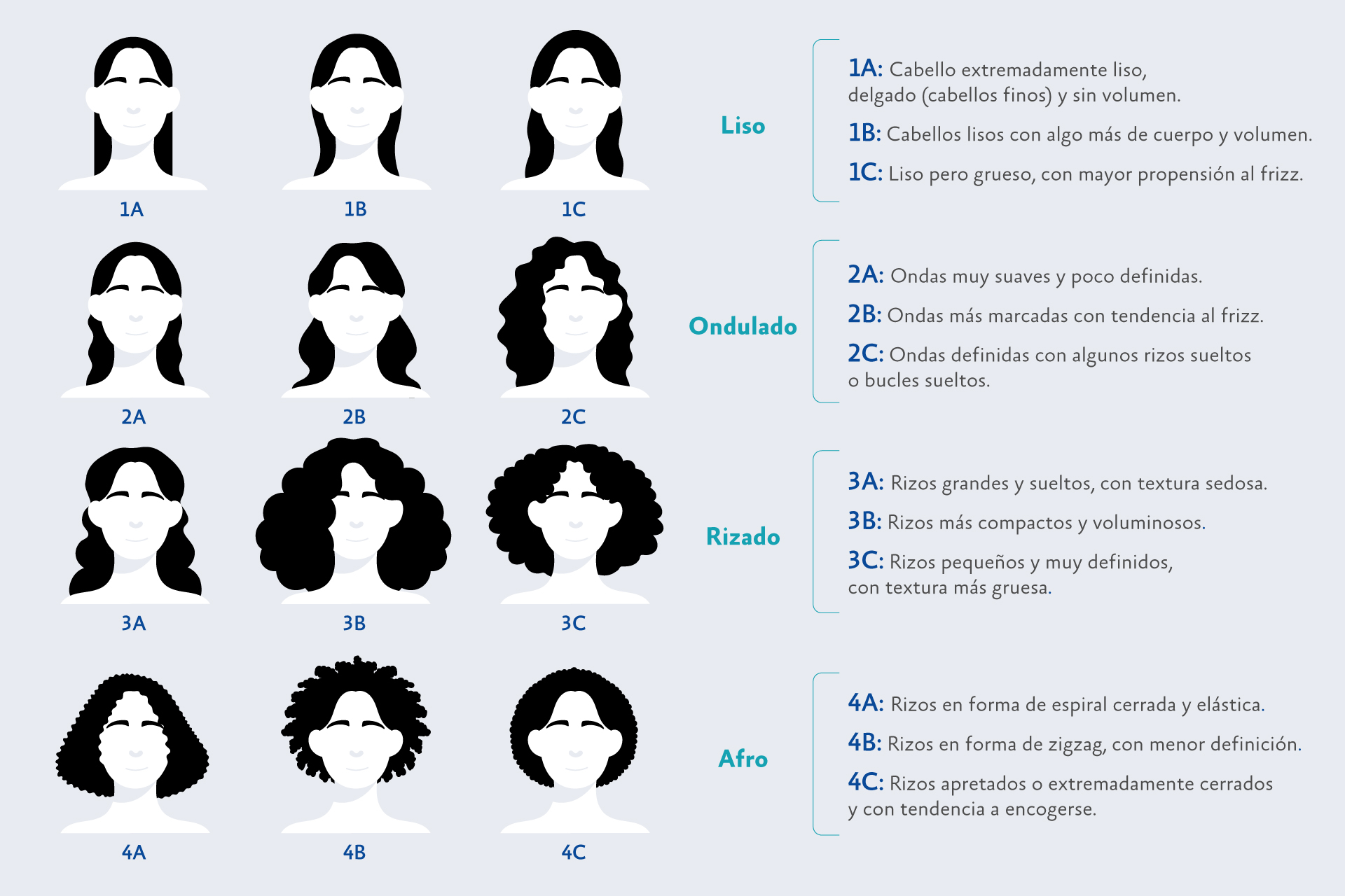 12 tipos de cabello- Guía para conocer su ciclo y cuidados 2